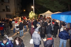 PARROCCHIA-PRESEPI-2015-Via-Trento-Bassa-e-Piazza-Vespri-Siliani-40