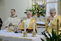 Insediamento-Ufficiale-padre-Enzo-Caruso-31-10-2015-FotoPidont-204