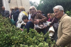 Pellegrinaggio-Giubilare-a-Roma-2016-ottobre-283